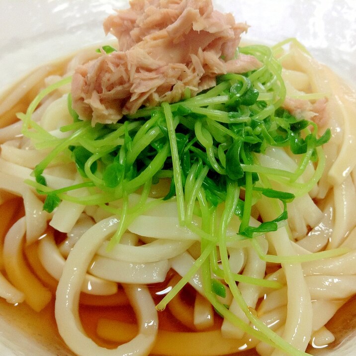 さっぱり♡ツナと豆苗でサラダうどん♡